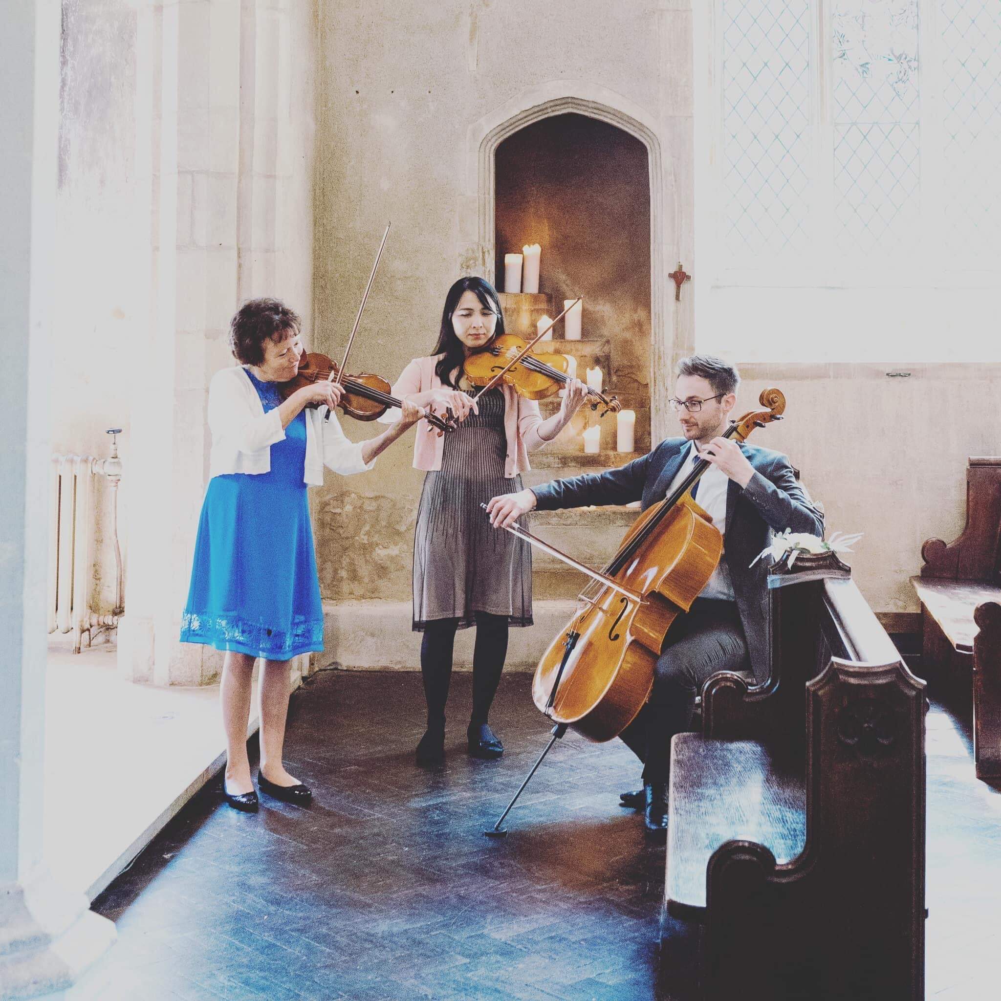 Kingfisher String Trio